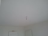 plafond peint