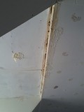plafond dégradé