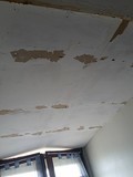 Plafond du chien assis