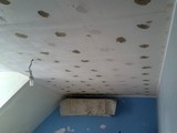 plafond à enduire